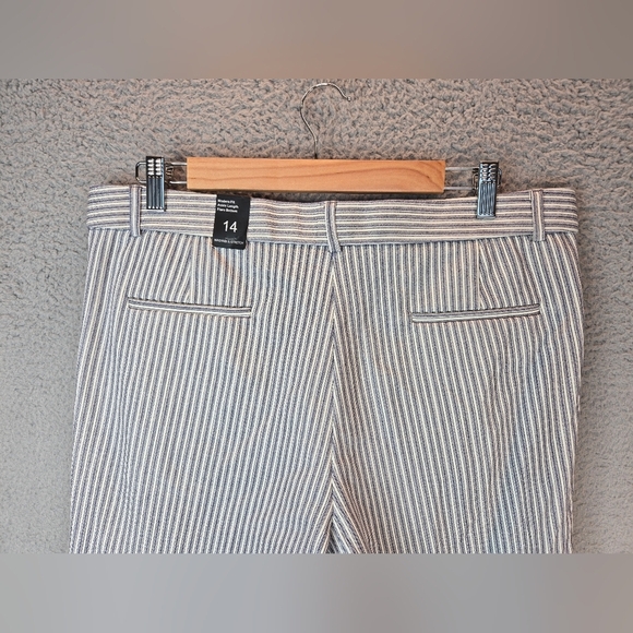 Amanda & Chelsea Womens Pants sz 14 Blue-White Railroad Stripe Modern Fit Ankle - Picture 7 of 10